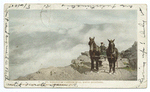 Carriage Route, Mt. Washington, N. H.