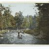 Canoeing in the Maine Woods, Maine