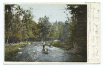 Canoeing in the Maine Woods, Maine