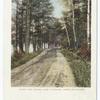 Along the Shore, Lake Dunmore, Green Mtns., Vt.