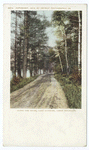 Along the Shore, Lake Dunmore, Green Mtns., Vt.