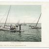 Oyster Tongning (or Dredging), Baltimore, Md.