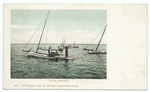 Oyster Tongning (or Dredging), Baltimore, Md.
