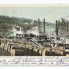 Cotton Landing, South