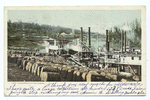 Cotton Landing, South