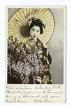 Wistaria, Japanese