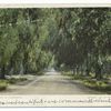 Pepper Drive, Riverside, Calif.