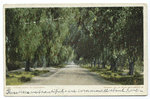 Pepper Drive, Riverside, Calif.