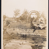 George Arliss with his dog sitting at the edge of a water feature in a garden
