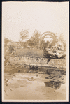 George Arliss with his dog sitting at the edge of a water feature in a garden