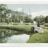 View in Riverside Park, Jacksonville, Fla.