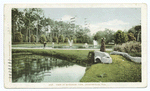 View in Riverside Park, Jacksonville, Fla.