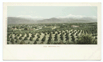 View, Redlands Calif.