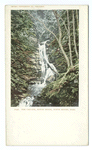 Cascade Notch Brook, No. Adams, Mass.