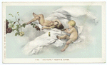 Tojetti's Frescoes -  Flute, Ponce de Leon H., St. Augugtine, Fla.