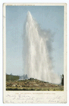 Old Faithful, Yellowstone Park