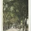 Hawthorne Street, New Bedford, Mass.