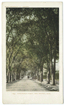 Hawthorne Street, New Bedford, Mass.