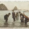 Sea Bathing, Avalon, Santa Catalina, Calif.