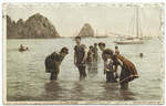 Sea Bathing, Avalon, Santa Catalina, Calif.