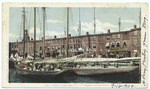T Wharf Fishing Schooners, Boston, Mass.
