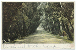 Willow Road, Glouchester, Mass.