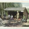 Open Camp, Adirondacks, N.Y.