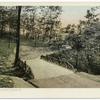 A Bridge in Schenley Park, Pittsburgh, Pa.