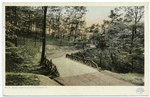 A Bridge in Schenley Park, Pittsburgh, Pa.