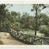 Along Wissahickon Creek, Fairmount Park, Philadelphia, Pa.