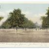 A Florida Orange Grove, Florida
