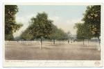 A Florida Orange Grove, Florida