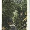 Peterskill Road, Lake Minnewaska, N. Y.