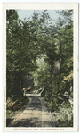 Peterskill Road, Lake Minnewaska, N. Y.