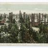 An Oil Well in Every Yard, Los Angeles, Calif.
