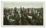 An Oil Well in Every Yard, Los Angeles, Calif.