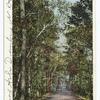 Lovers Lane, Aiken, S. C.