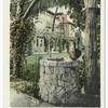 St. Catherine's Well, New Glenwood, Riverside, Calif.