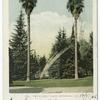Two Stately Palms, Riverside, Calif.