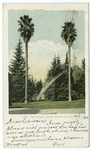 Two Stately Palms, Riverside, Calif.