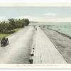 Lake Drive, Lincoln Park, Chicago, Ill.