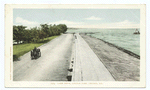 Lake Drive, Lincoln Park, Chicago, Ill.