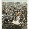 Cotton Pickers, South