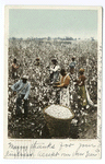 Cotton Pickers, South