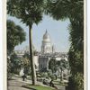 City Hall, Glimpse through the trees, San Francisco, Calif.