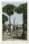 City Hall, Glimpse through the trees, San Francisco, Calif.