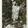 Huntington Falls, Golden Gate Park, San Francisco, Calif.