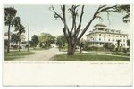 Magnolia Avenue and Hotel Des Plano, Daytona, Fla.