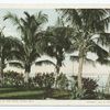 A Corner in the Park, Miami, Fla.