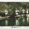 Seminole Indians, Florida